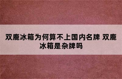 双鹿冰箱为何算不上国内名牌 双鹿冰箱是杂牌吗